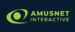 AmuseNet Interactive