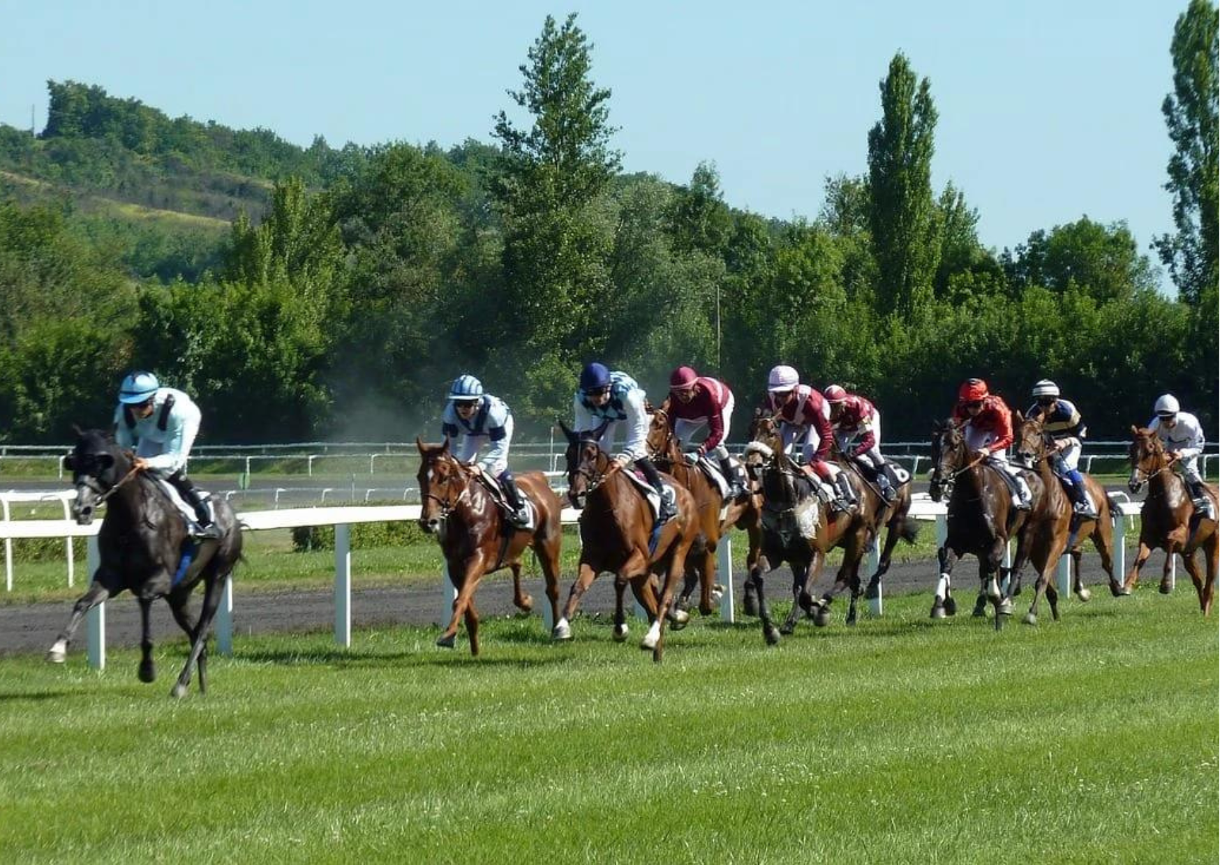 ZEturf Horse racing